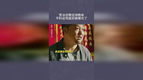 贾冰应聘背景,从喜剧演员到职场新秀，跨界挑战背后的故事