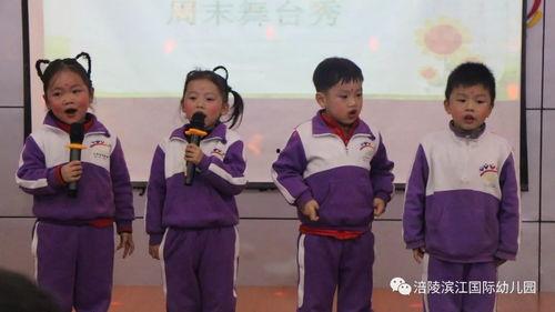 班级大明星,闪耀校园的璀璨之星