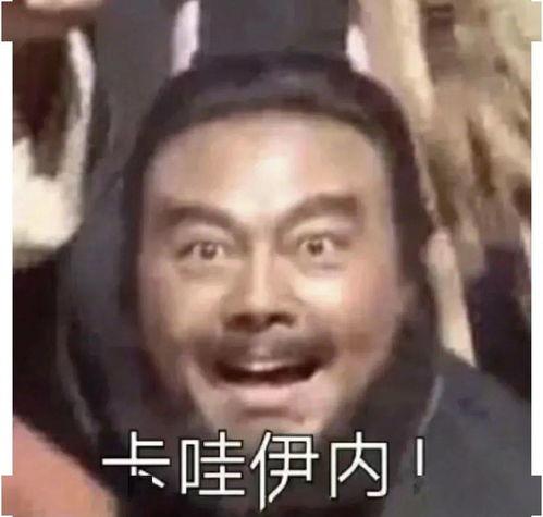 16哥 表情包,趣味横生的网络文化现象